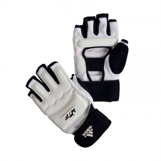 Taekwondo Handschoenen